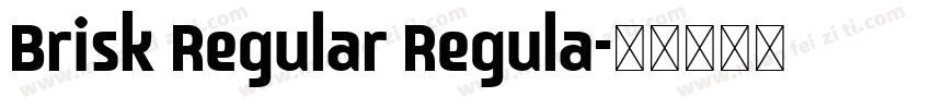 Brisk Regular Regula字体转换